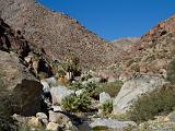 A Anza Borrego Desert 004